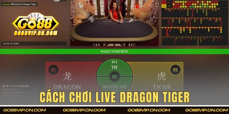 Cách chơi Live Dragon Tiger cực đơn giản cho tân binh